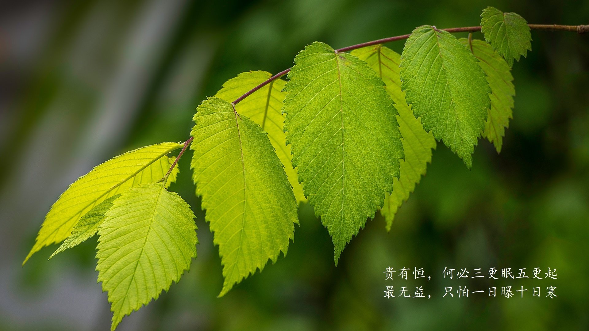 _热火队铁血防守，锁定重要比赛胜局_，热火队伍