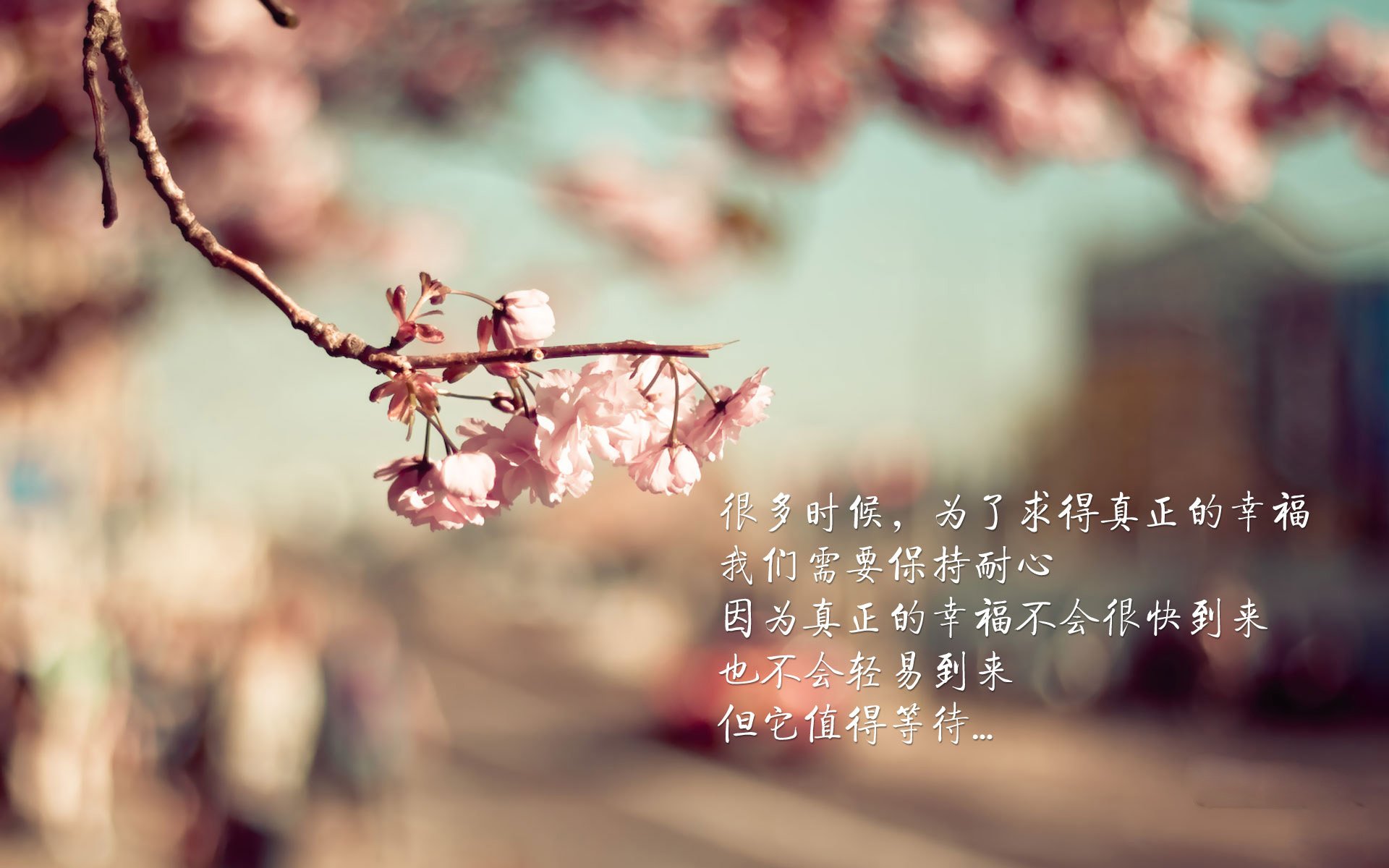 kaiyun.com-“冠军之路：最完美战术体系助狼队登顶”，助攻王拿总冠军