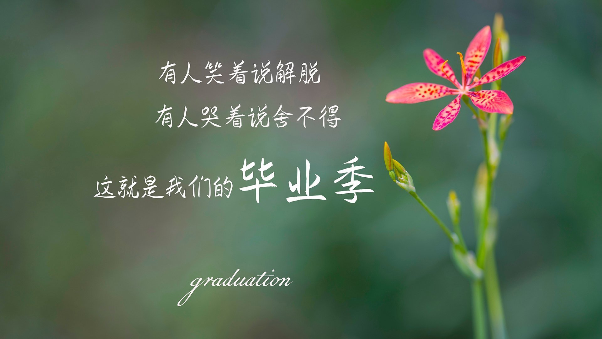 德甲：霍芬海姆1-3不敌法兰克福，攻防转换精彩纷呈，德甲霍芬海姆对法兰克福
