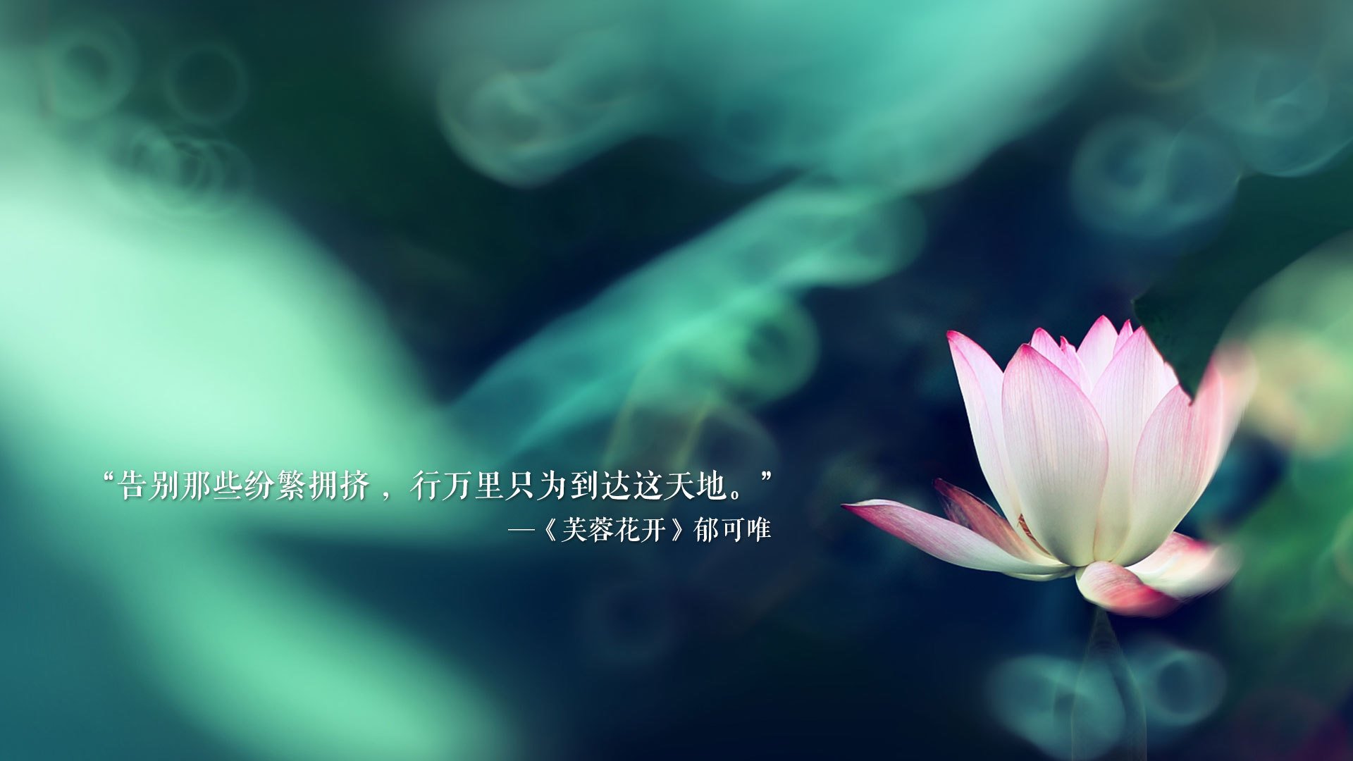 Kaiyun APP-俄罗斯篮球赛事即将迎来第二轮激烈争夺，俄罗斯篮球超级联赛2直播