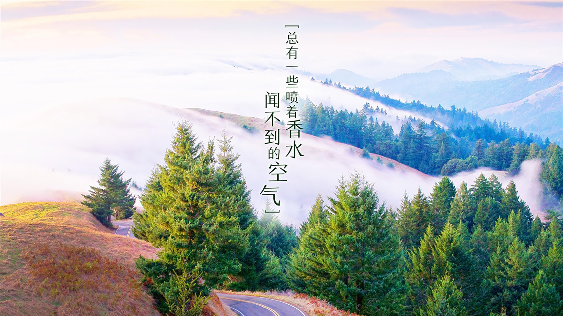 欧洲顶级篮球联赛季前赛战绩公布 豪门表现抢眼，欧洲篮球联赛排名球星