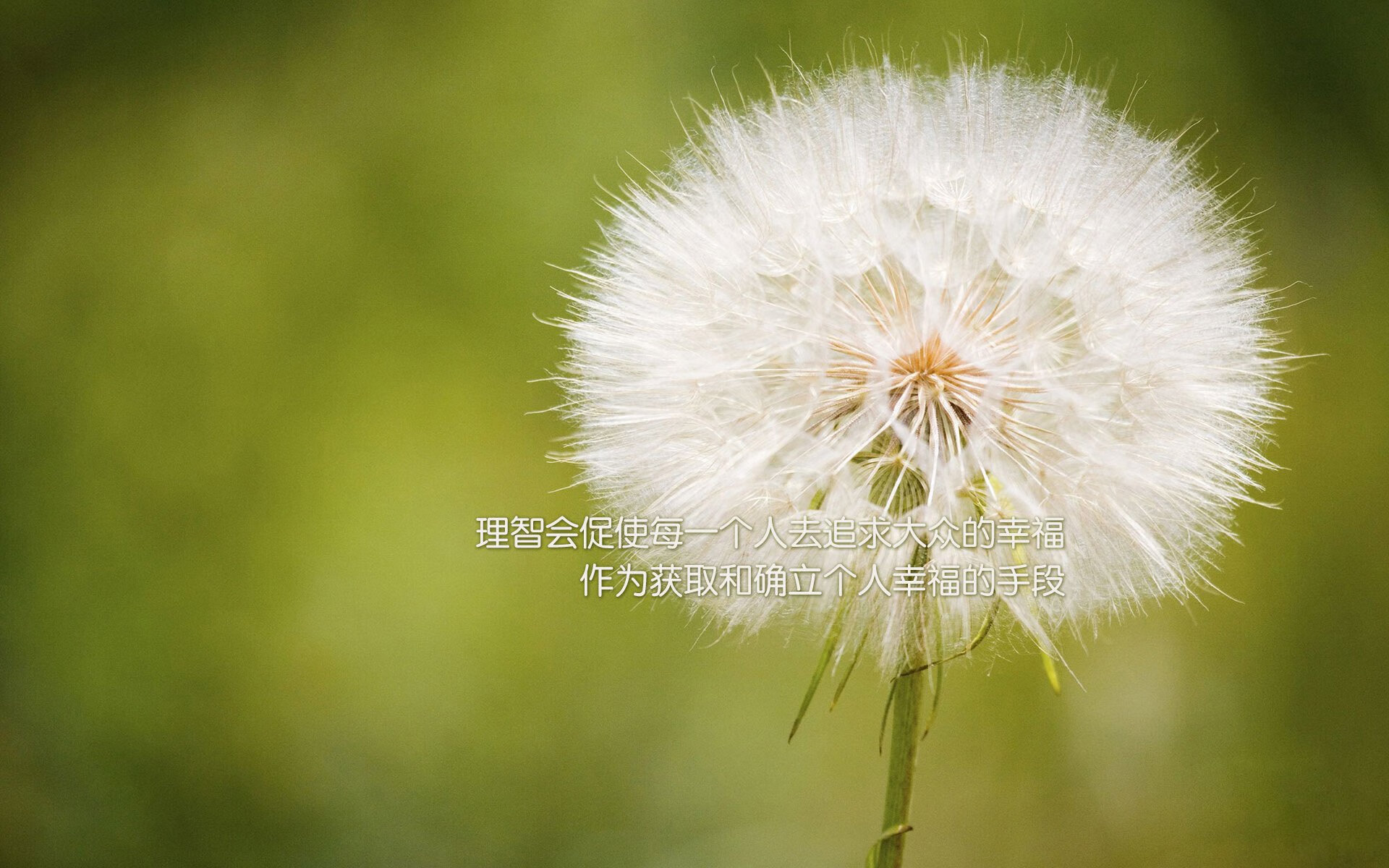 开云官方网站-马刺中锋阿德成功助攻刷新生涯助攻总数，马刺致敬阿德视频