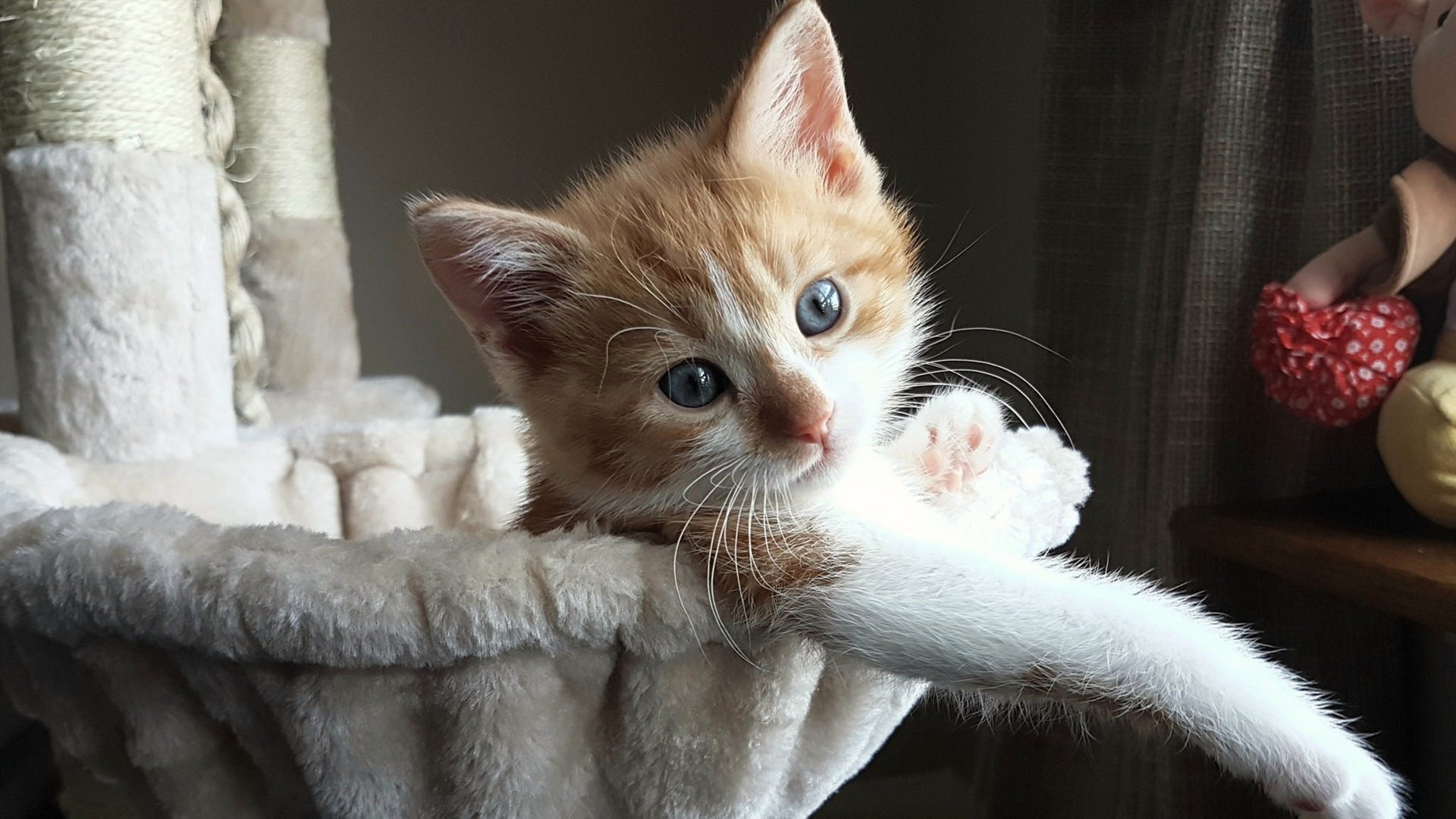 中国女篮加快阵容磨合 提高默契度,中国女篮真棒