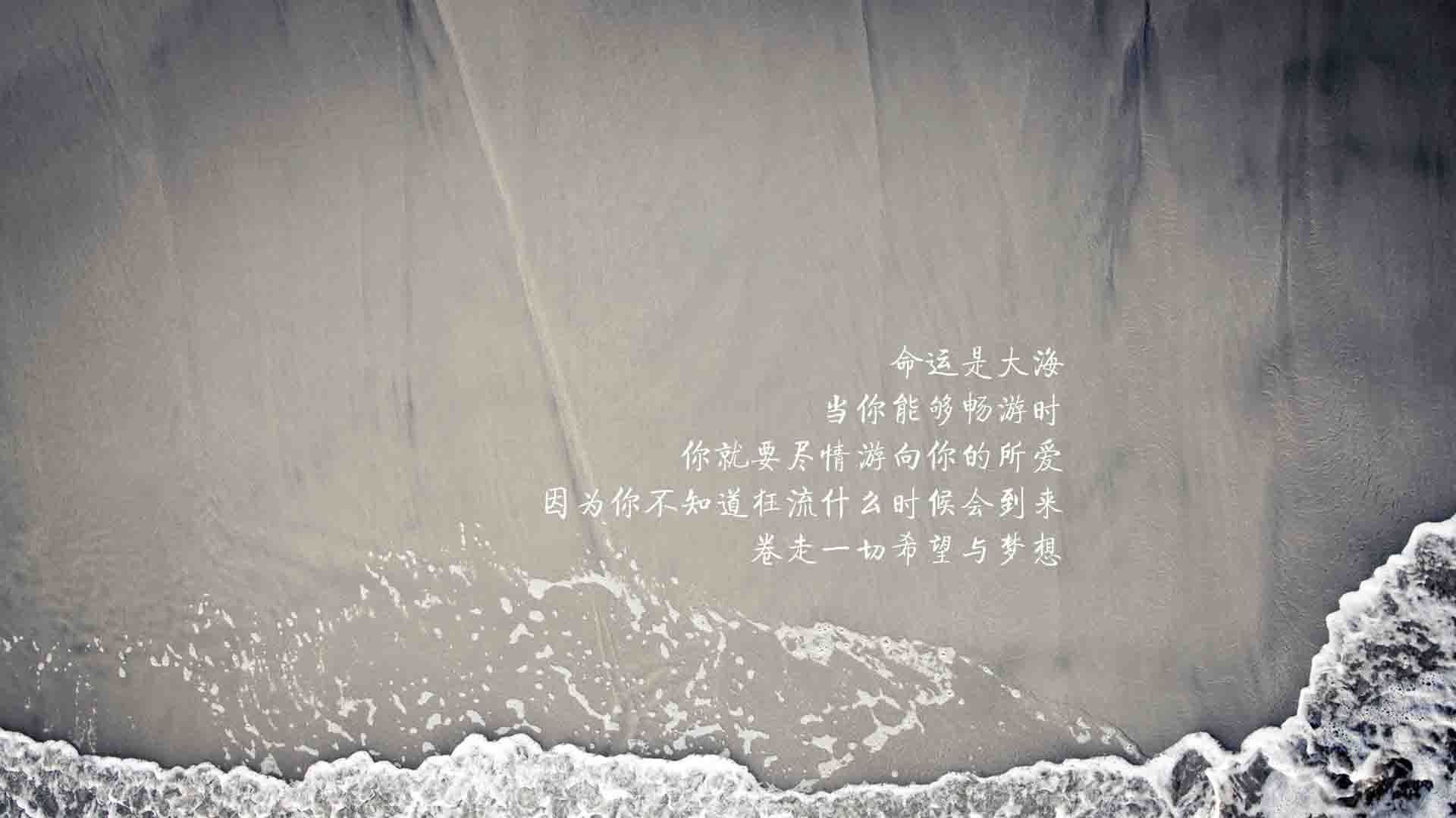 开云·体育官网APP下载-瑞典乒乓团队在2024年国际赛场的整体表现与突破，瑞典乒乓公开赛