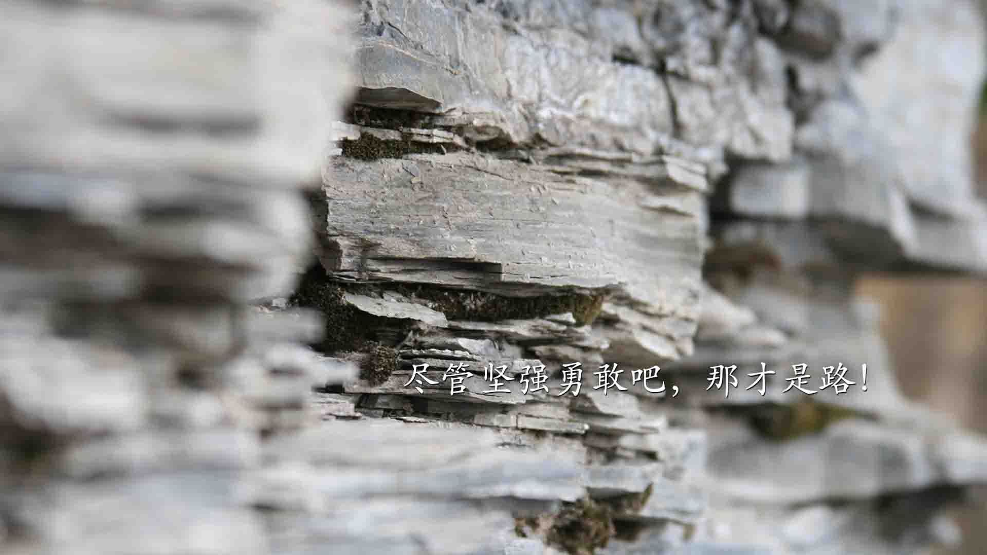 中国篮球提升赞助商匹配度增强联赛商业价值，篮球队赞助商