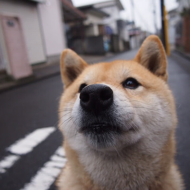 Kaiyun(中国)开云-掘金小前锋分享训练日志展示职业态度，掘金队伍