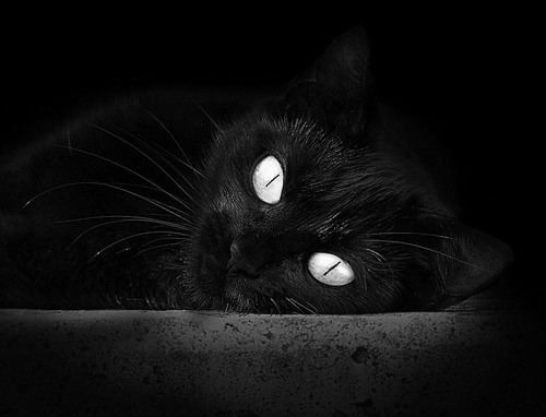 kaiyun开云·官方网站-日本女篮在亚洲预赛中夺取佳绩，冲击奥运入场券，日本女篮2021