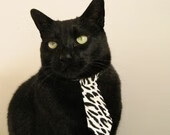 kaiyun体育综合-梅西在世界杯预选赛中建功，阿根廷展现强大实力