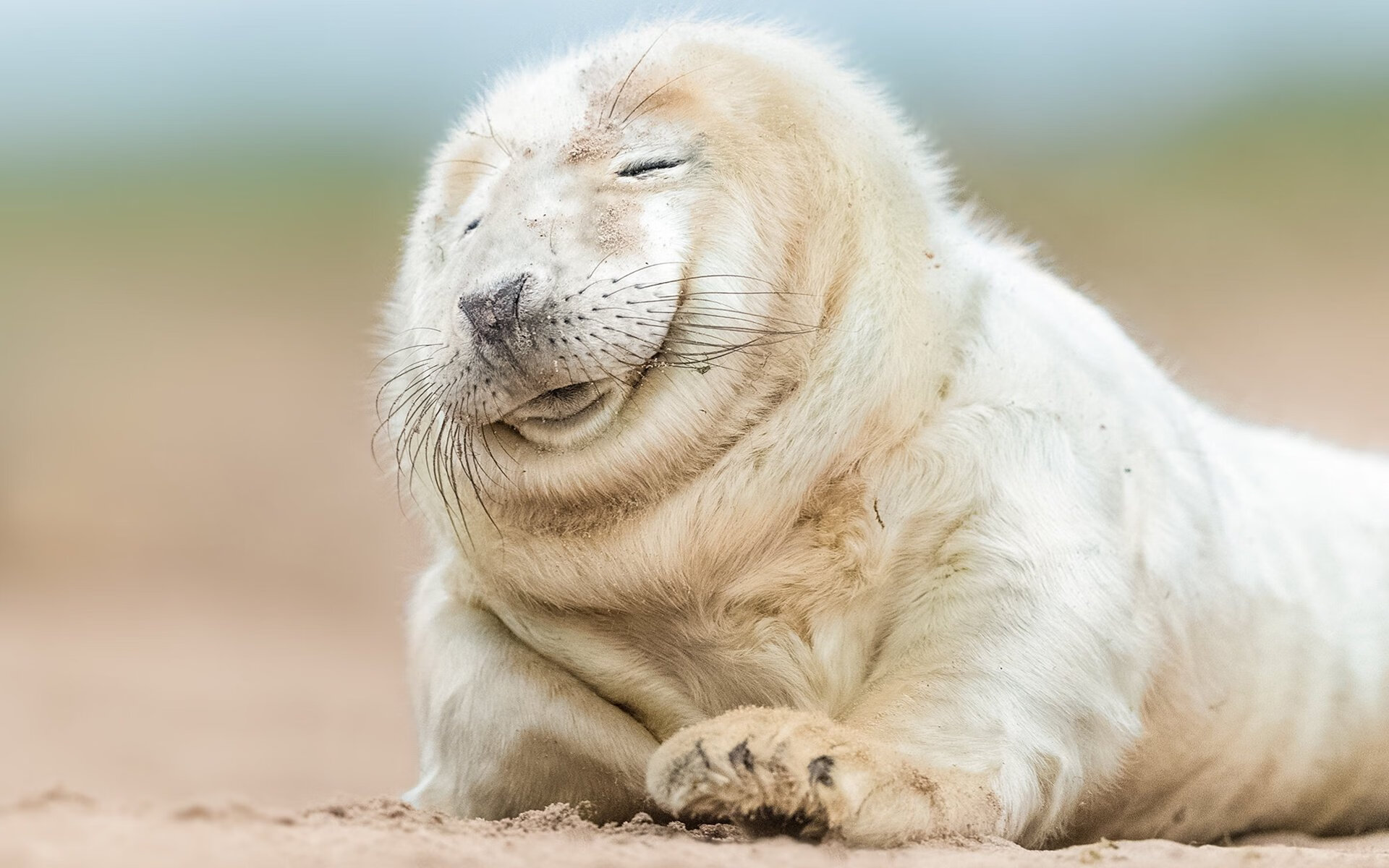 开云·Kaiyun网页版-欧洲杯战局多变：阵型变革，奇迹频出！，欧洲杯 阵型