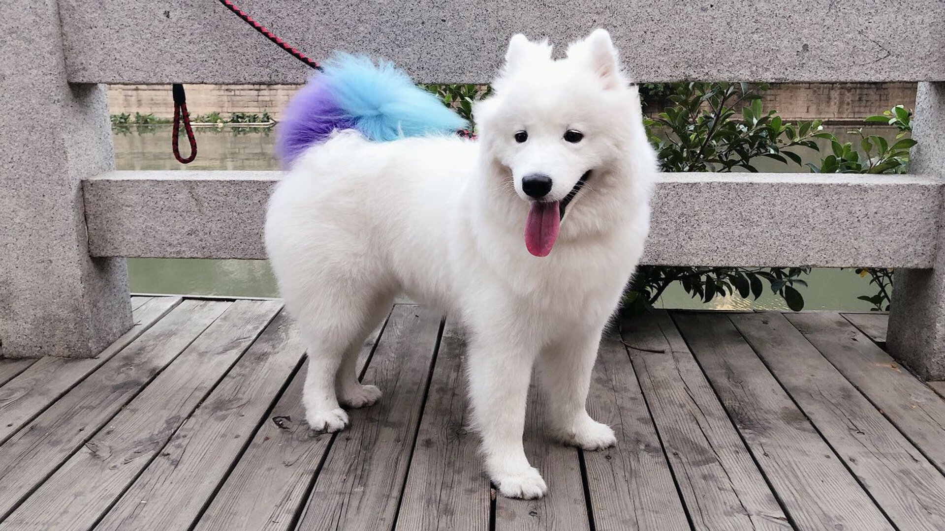 英超冠军悬念:战局千变万化,惊喜不断!,英超 冠军