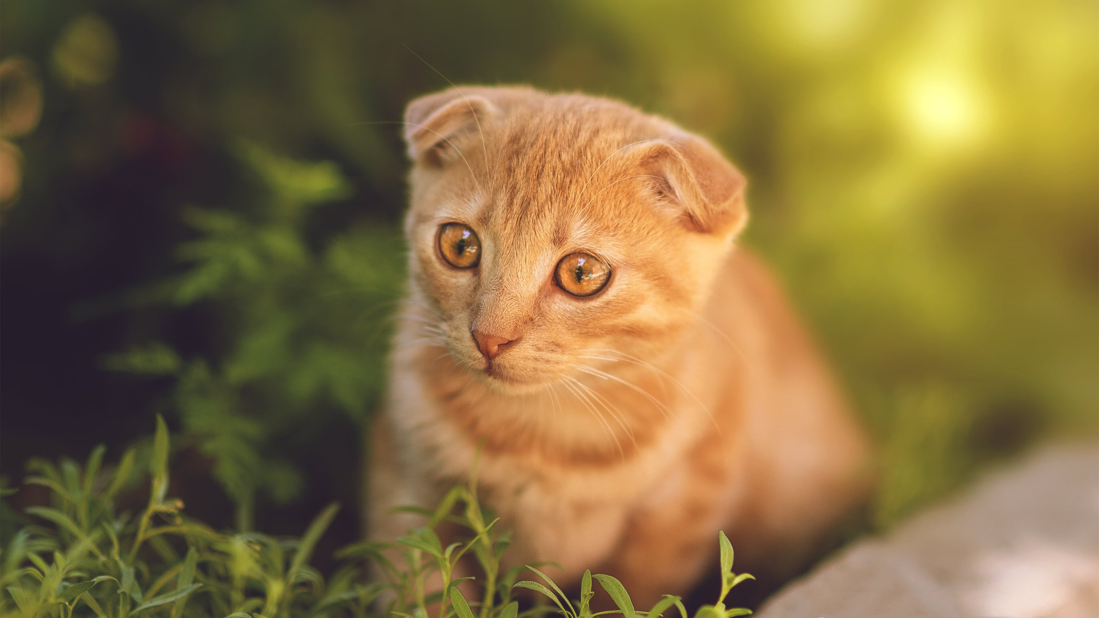 kaiyun中国官方网站-詹姆斯谈心态调整是比赛中最重要部分，詹姆斯访谈