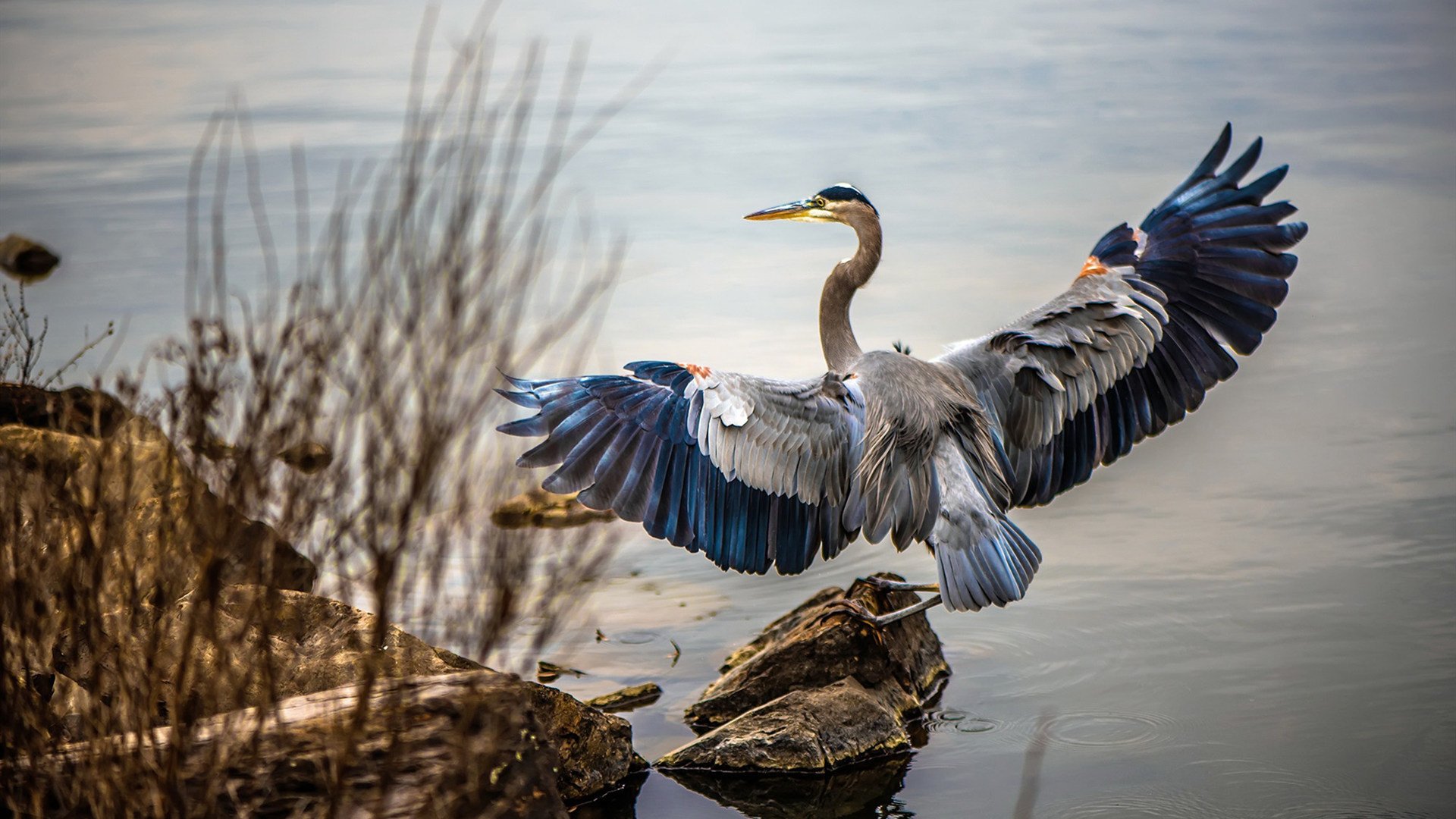 kaiyun中国官方网站-青年球员首次亮相受关注，中国青年球员